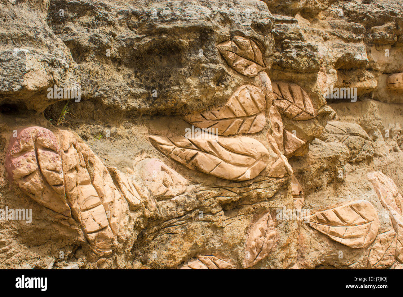 Leaves Archeology High Resolution Stock Photography and Images - Alamy