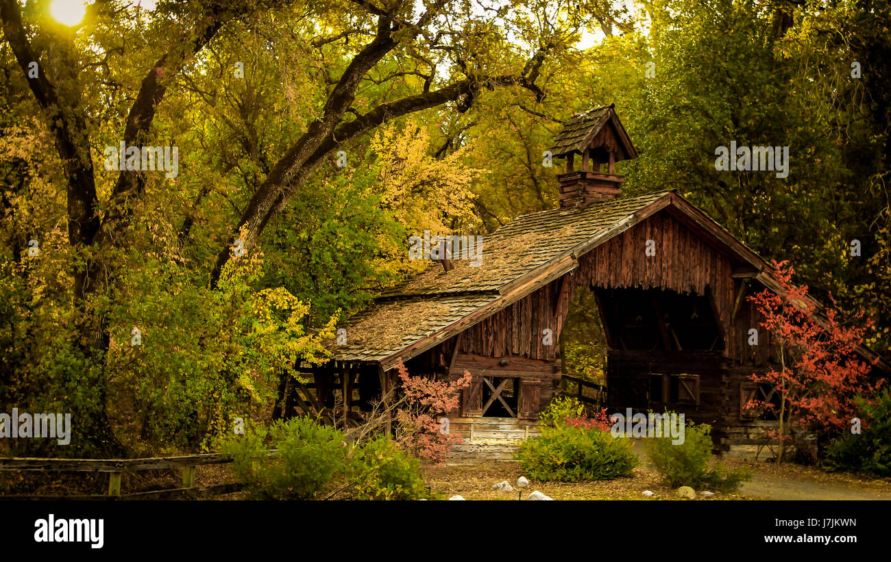 Old wooden barn in the forest Stock Photo