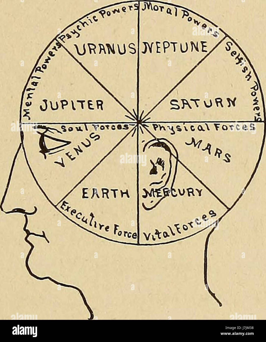 The mystic test book; or, The magic of the cards. Giving the mystic