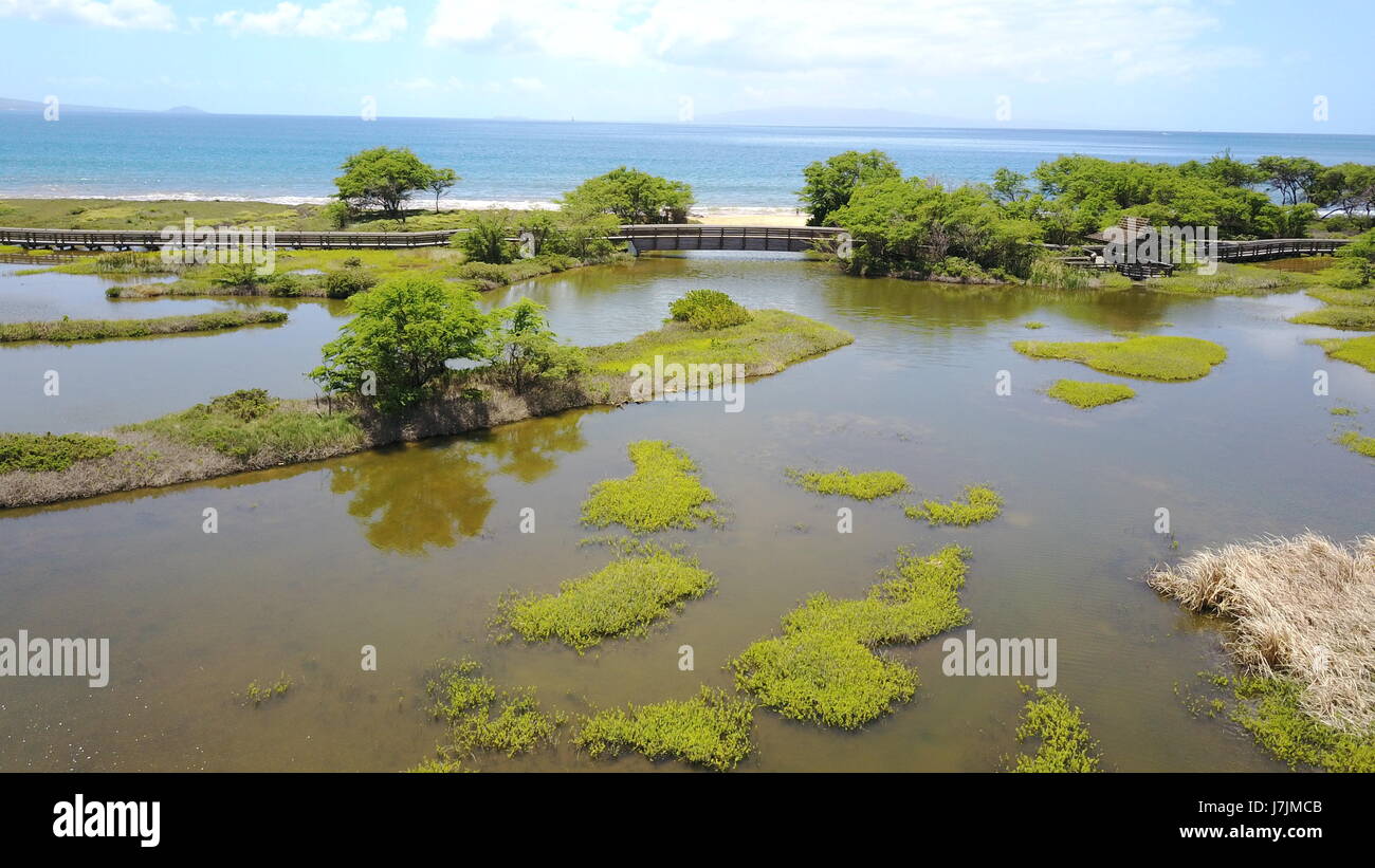 Aerial images around the Kealia fish ponds on Maui Hawaii, showing the boardwalk walkway that runs along the beach. Stock Photo