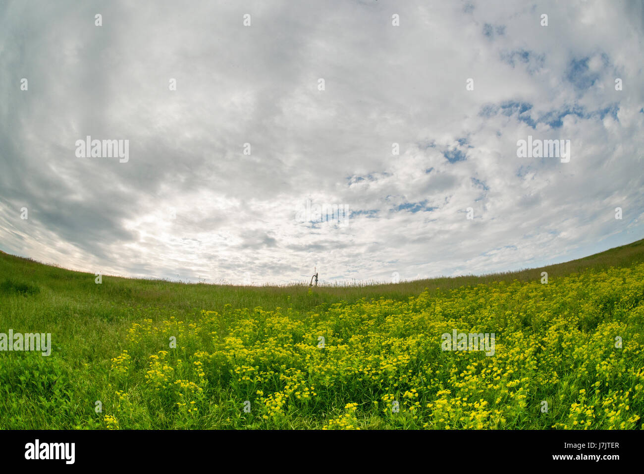 A well head collecting methane gas in Freshkills Park, formerly
