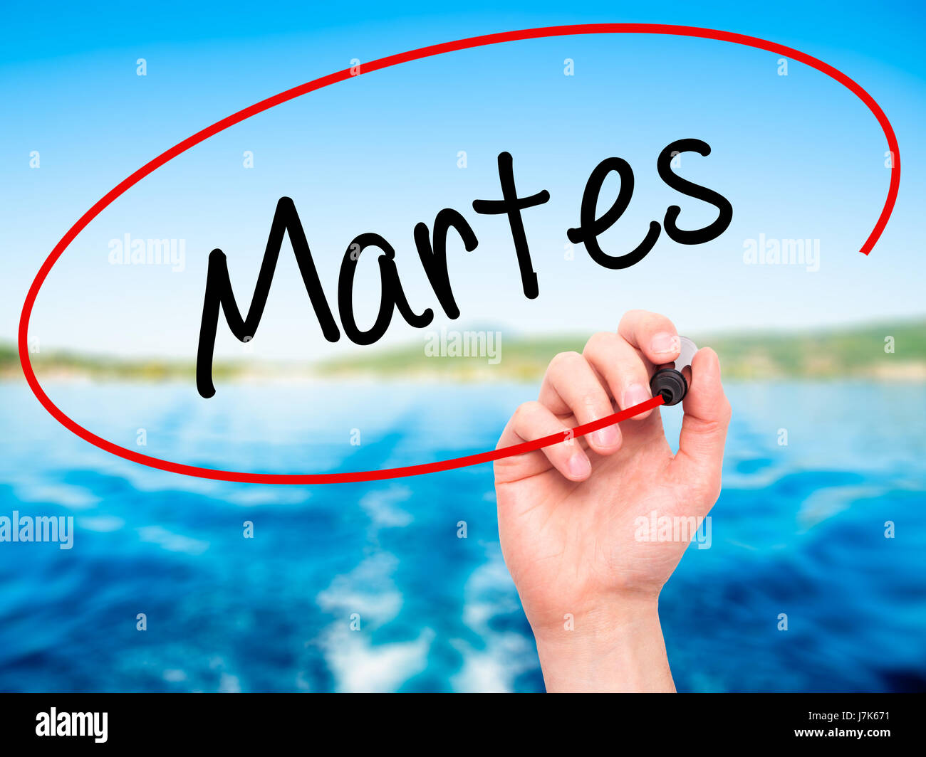 Man Hand Writing Martes Tuesday Spanish Black Marker Visual Screen Stock  Photo by ©YAYImages 262861048