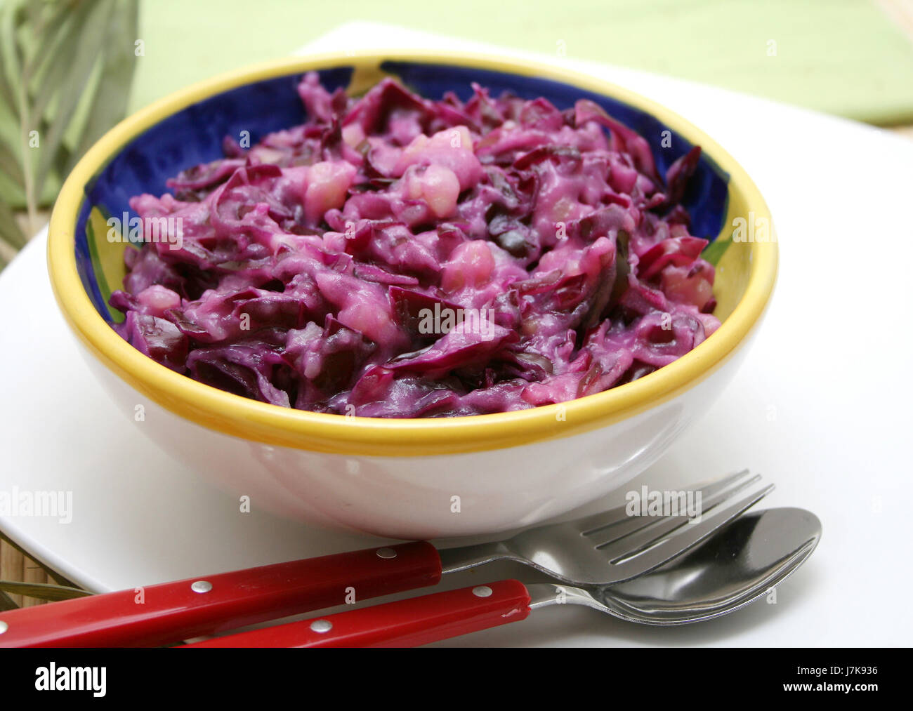 food aliment vegetable cabbage red cabbage food aliment vitamins vitamines Stock Photo