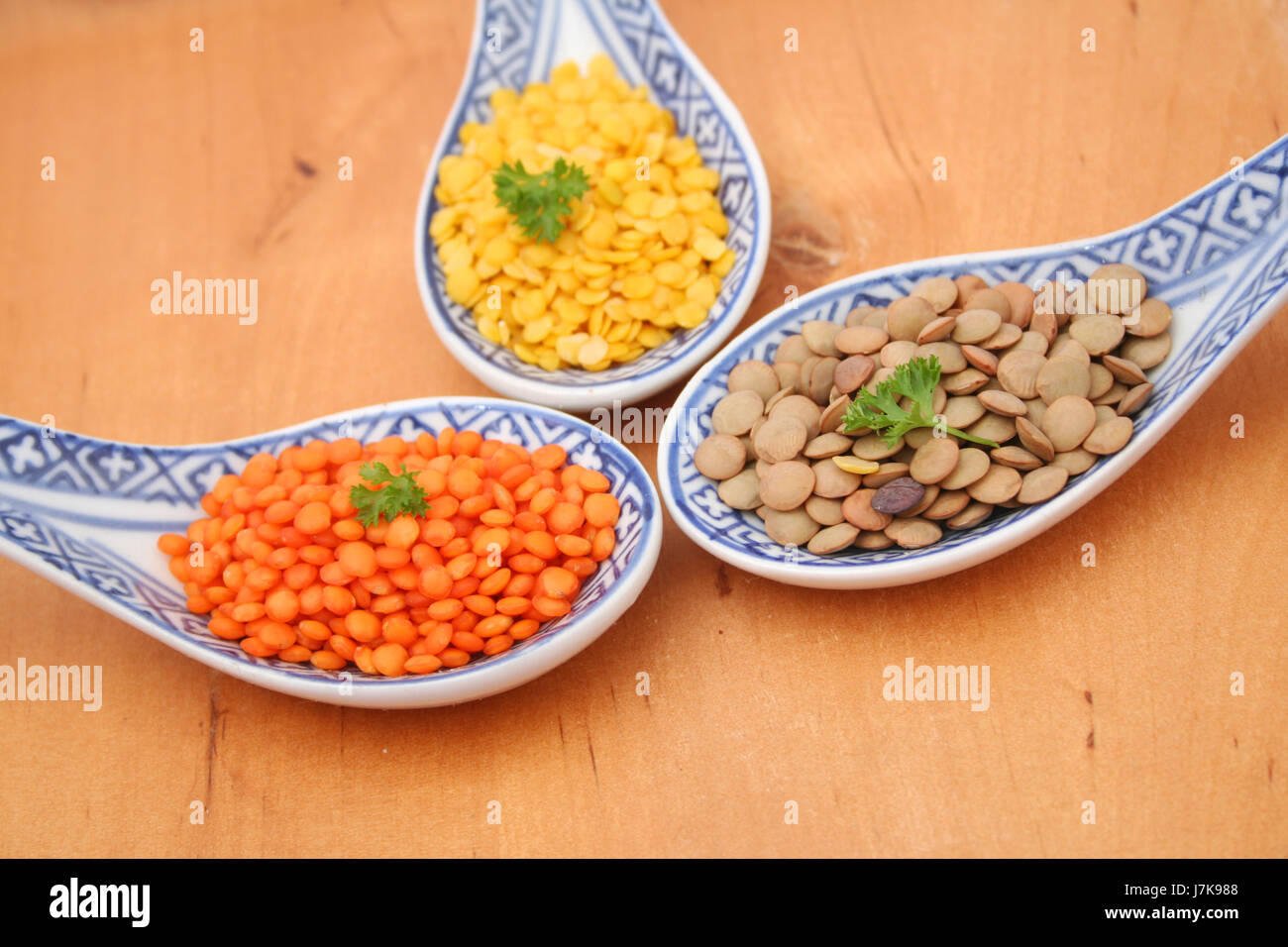 vegetable lenses legume vegetable dried lenses legume leguminous plants