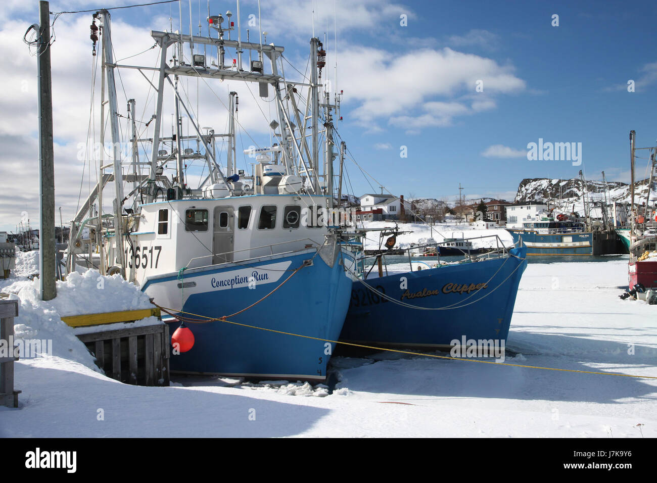 2011 FEB 12 22 NEWFOUNDLAND 077 Port de Grave (9) (5457061304 Stock