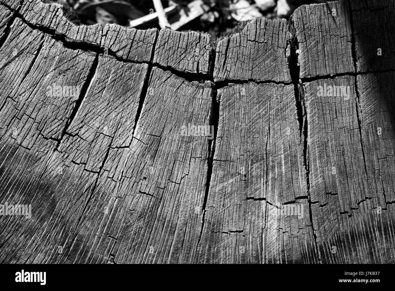 2011 365 82 Cracks Across Time (5555185150) Stock Photo