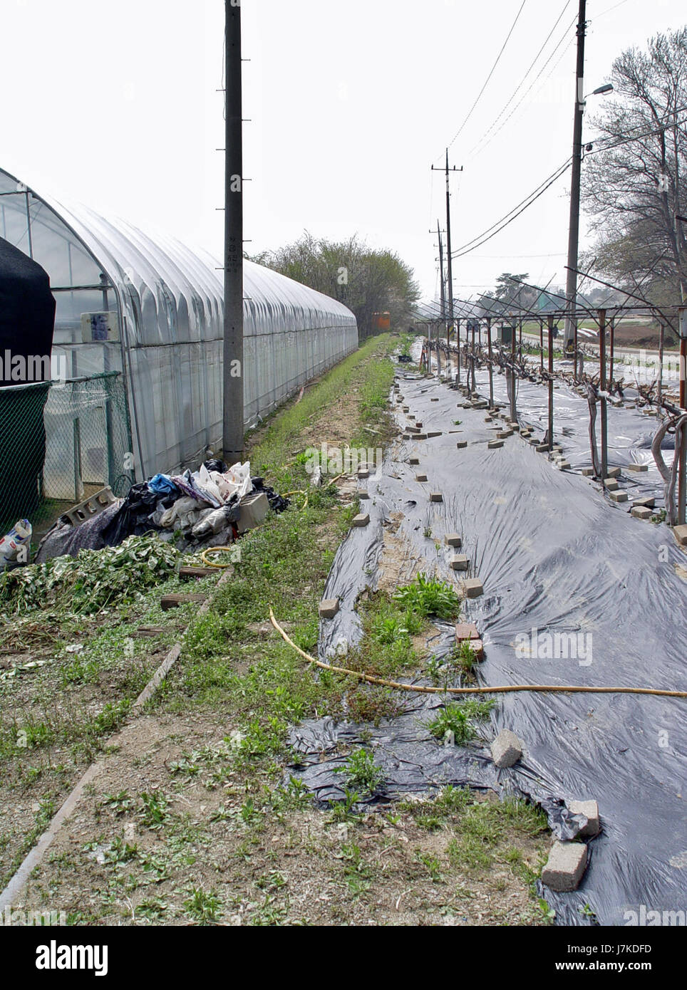 2011 05 01   07   Suin Line in Seowon maeul, Hwaseong Stock Photo