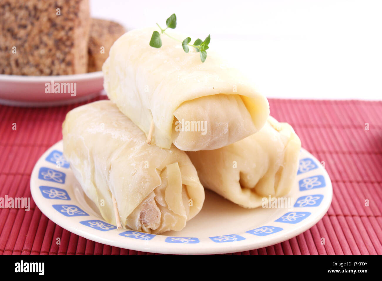 frozen vegetable cabbage roulade food aliment frozen dainty vegetable cabbage Stock Photo