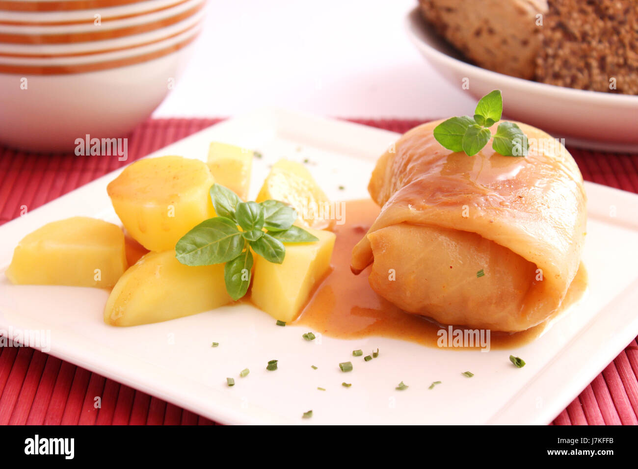 food aliment cabbage mincemeat food aliment dainty vegetable dish meal midday Stock Photo