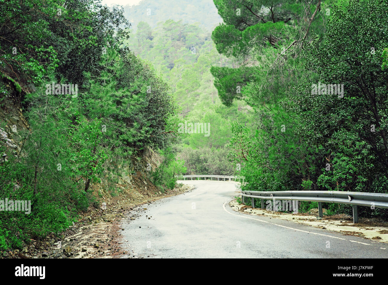 Stunning Scenic Route Through The Woods In The Mountains Stock Photo