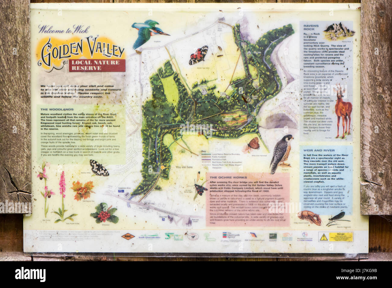 WICK, UK - MAY 23 2017 Illustrated display of species and map at entrance to local nature reserve in South Gloucestershire, England, UK Stock Photo
