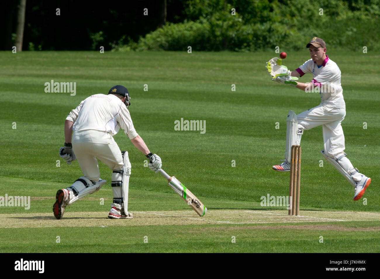 Cricket player catching ball hi-res stock photography and images - Alamy
