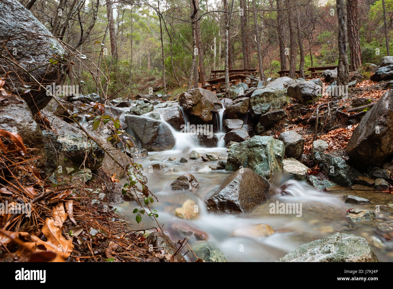 Peaceful Scenic Stream In The Mountains Stock Photo