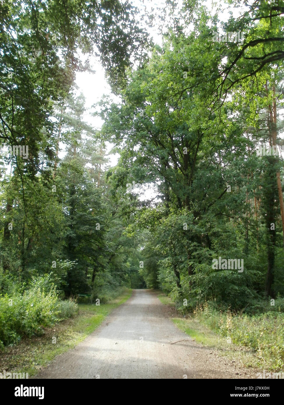 20110630Postweg Sandhausen Stock Photo