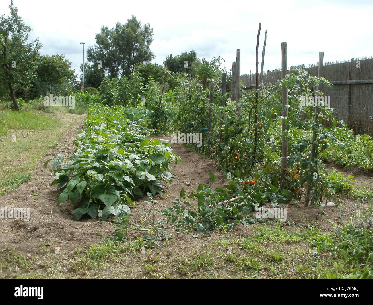 Schrebergarten illustration hi-res stock photography and images - Alamy