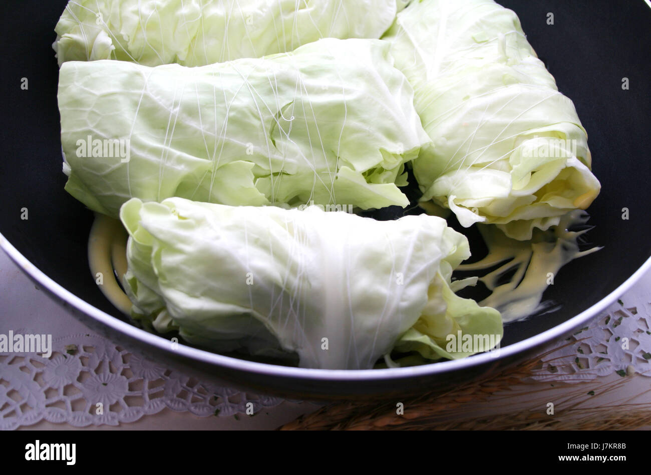 vegetable cabbage food aliment eco dainty vegetable dish meal envelop cabbage Stock Photo