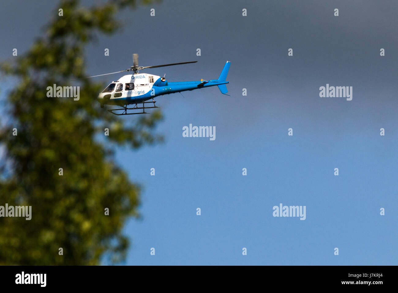 Blue and White Helicopter flying over head Stock Photo Alamy