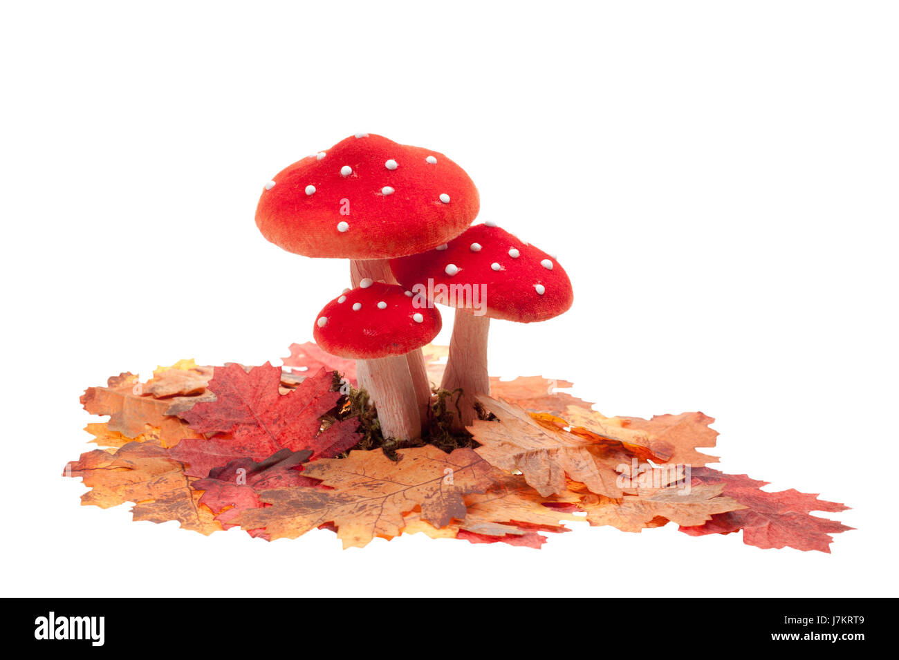 object isolated decoration mushroom fungus toadstool red fall autumn stool leaf Stock Photo