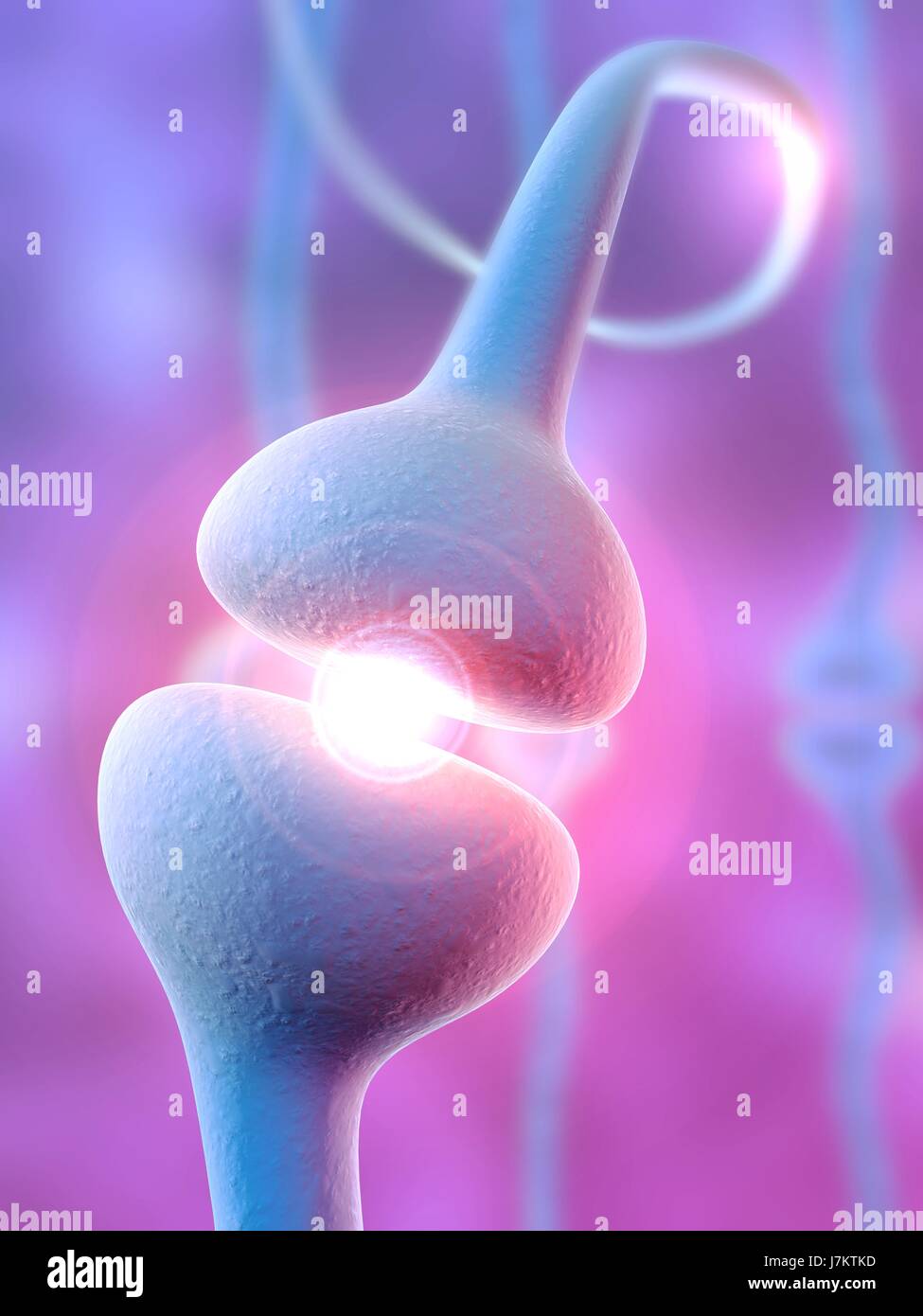 Human being biology nerve hi-res stock photography and images - Alamy