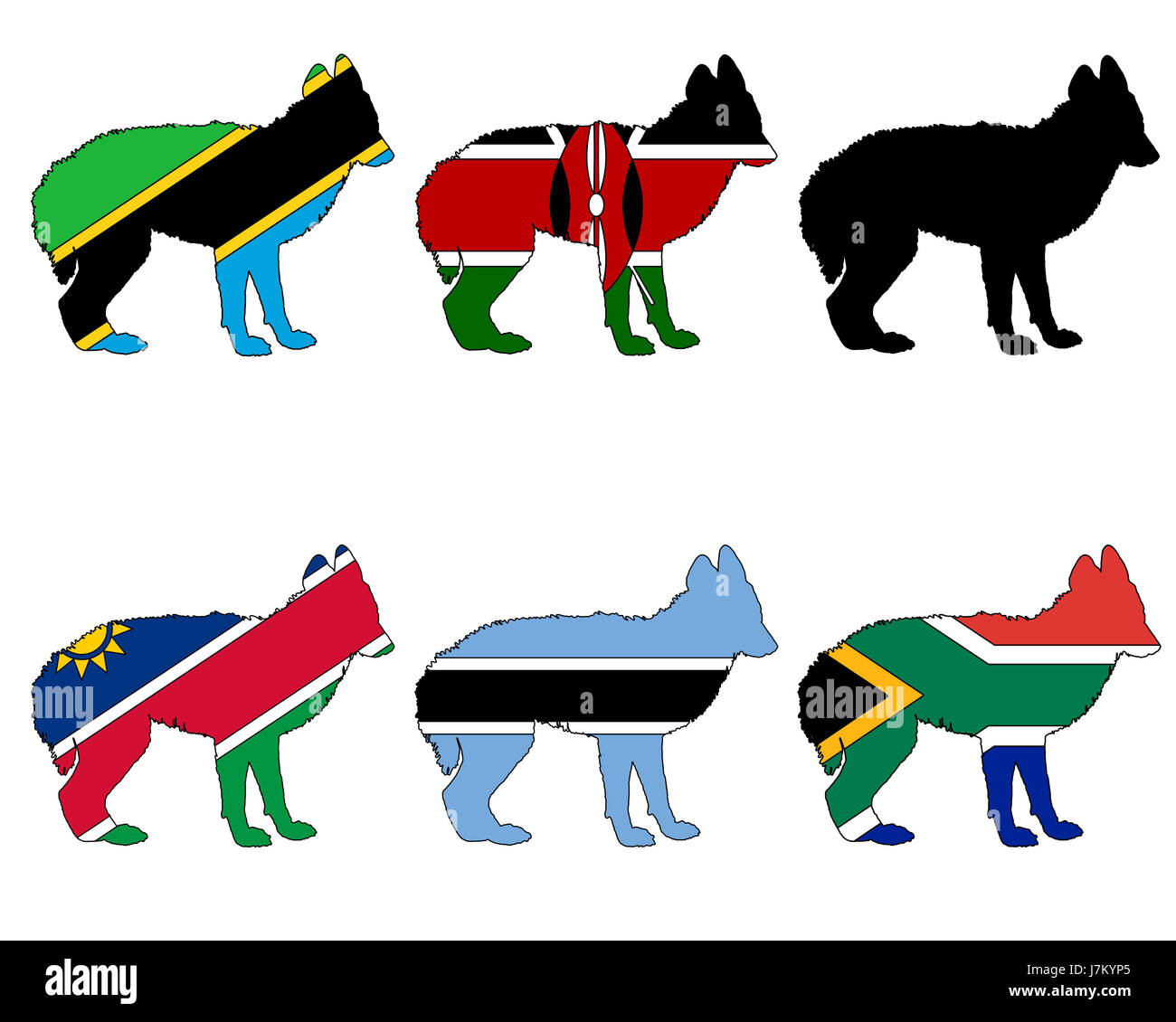 jackal from africa Stock Photo Biology Diagrams