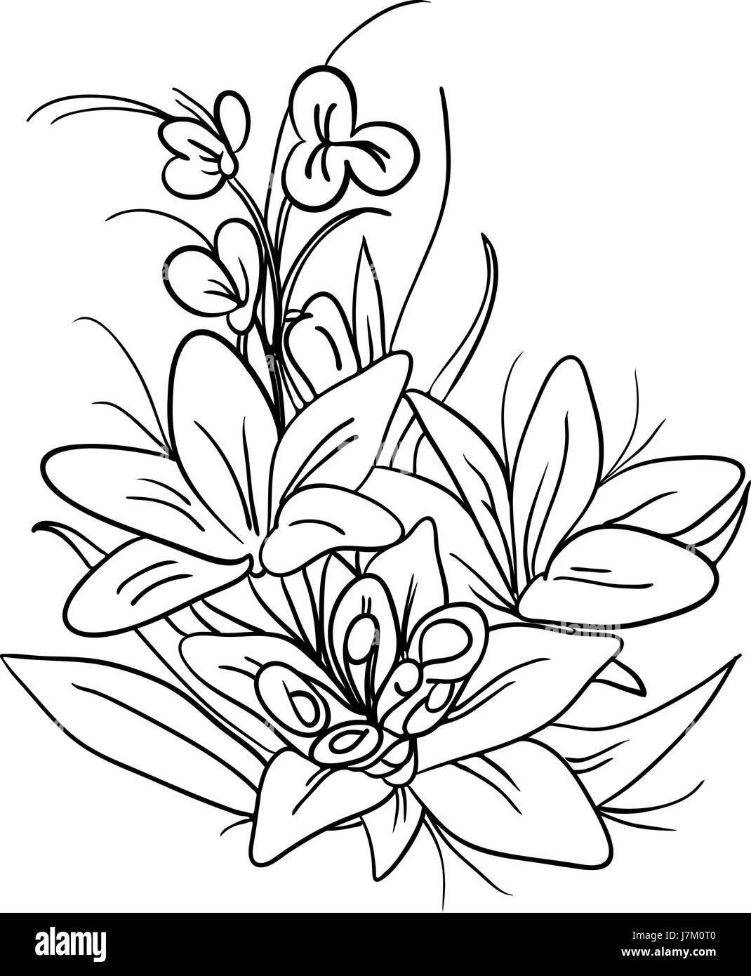 isolated colour flower plant illustration paint draw cartoon beautiful  Stock Photo - Alamy