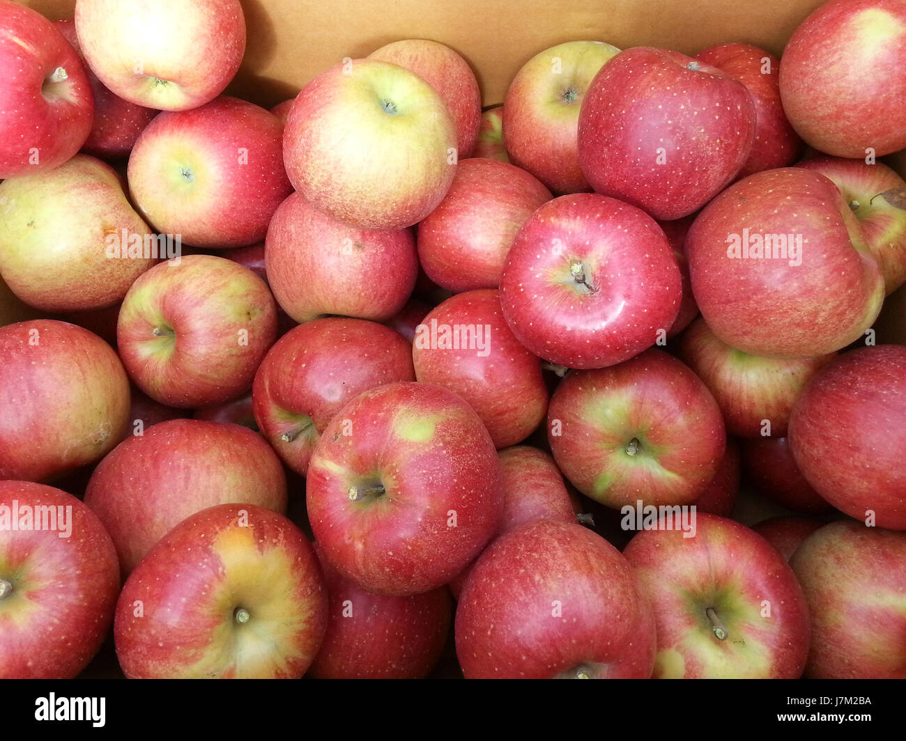 Delicious red apple Stock Photo Alamy