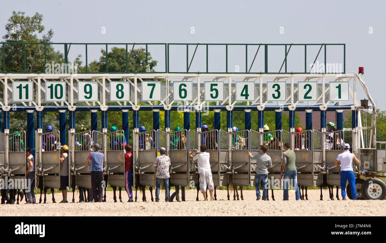 Horse Racing Starting Gate High Resolution Stock Photography And Images Alamy Horse Racing Starting Gate High Resolution Stock Photography And Images Alamy