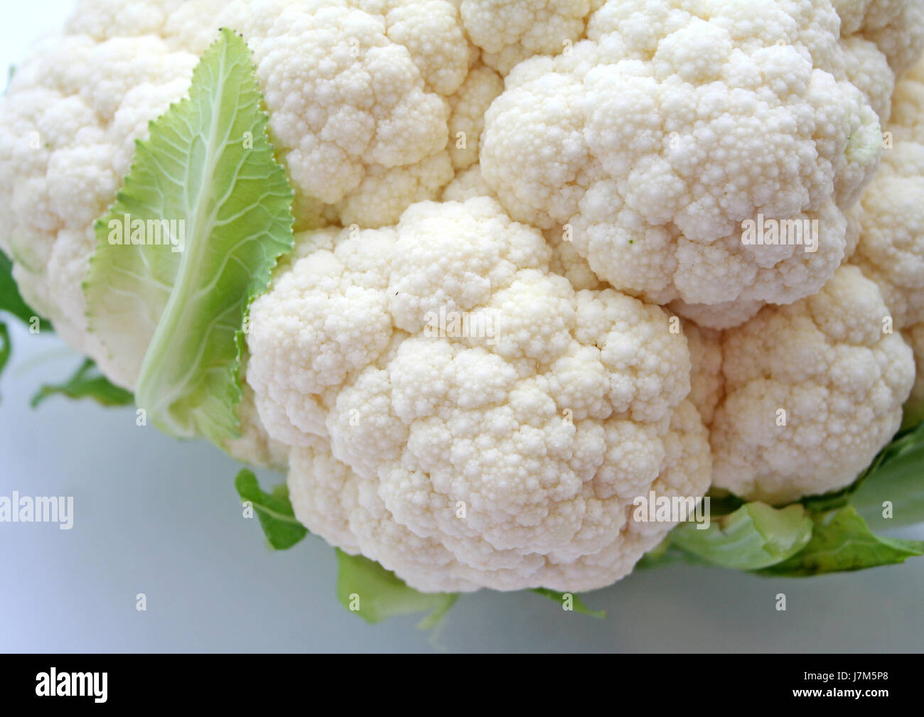 vegetable cabbage cauliflower vegetarian fresh food aliment health vitamins Stock Photo