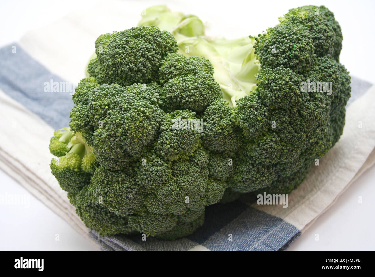 vegetable cabbage vegetarian broccoli fresh food aliment health vitamins Stock Photo