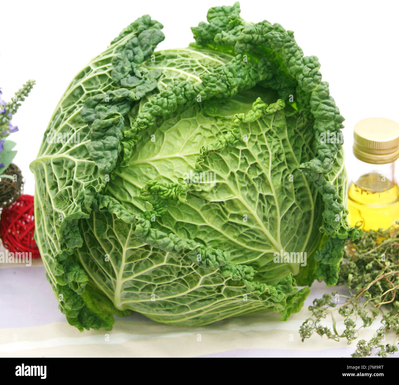 savoy cabbage Stock Photo