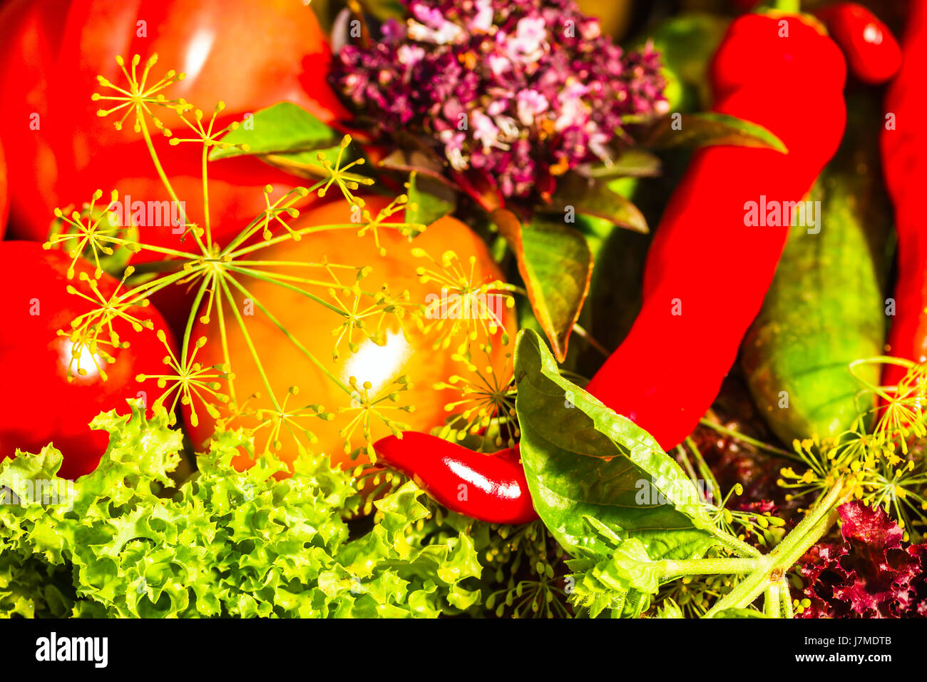 still life from marinated and fresh vegetables on the garden Stock Photo