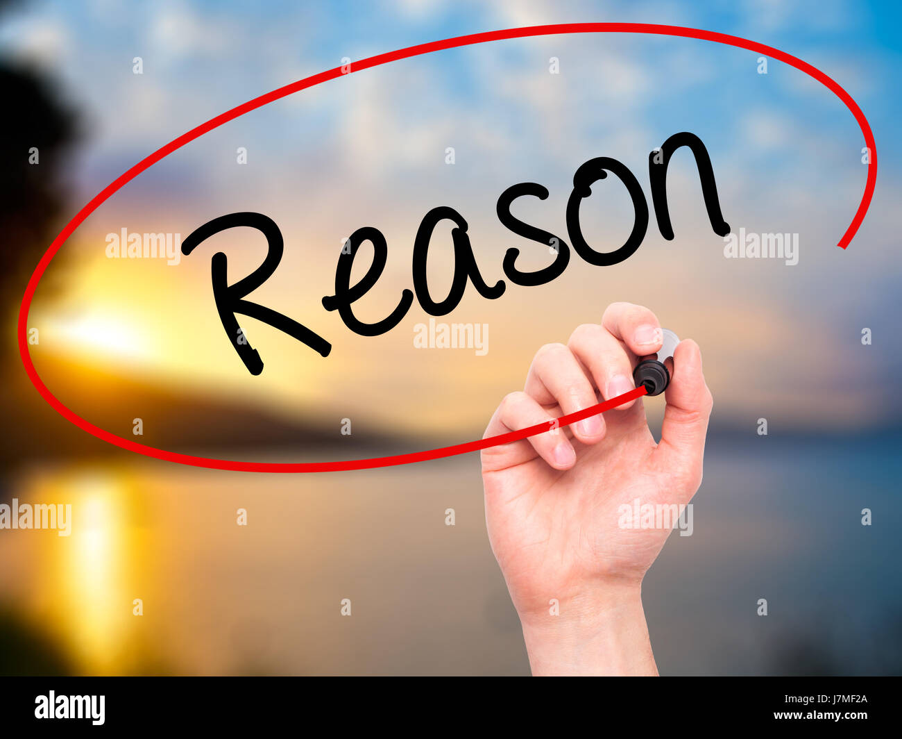 Man Hand writing Reason with black marker on visual screen. Isolated on ...