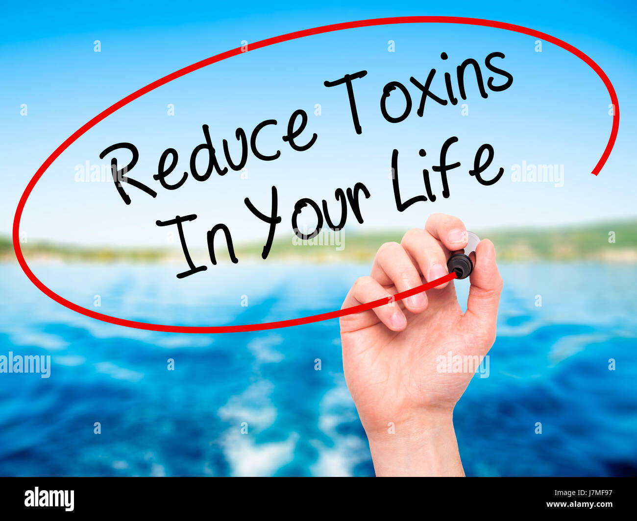 Man Hand writing Reduce Toxins In Your Life with black marker on visual ...