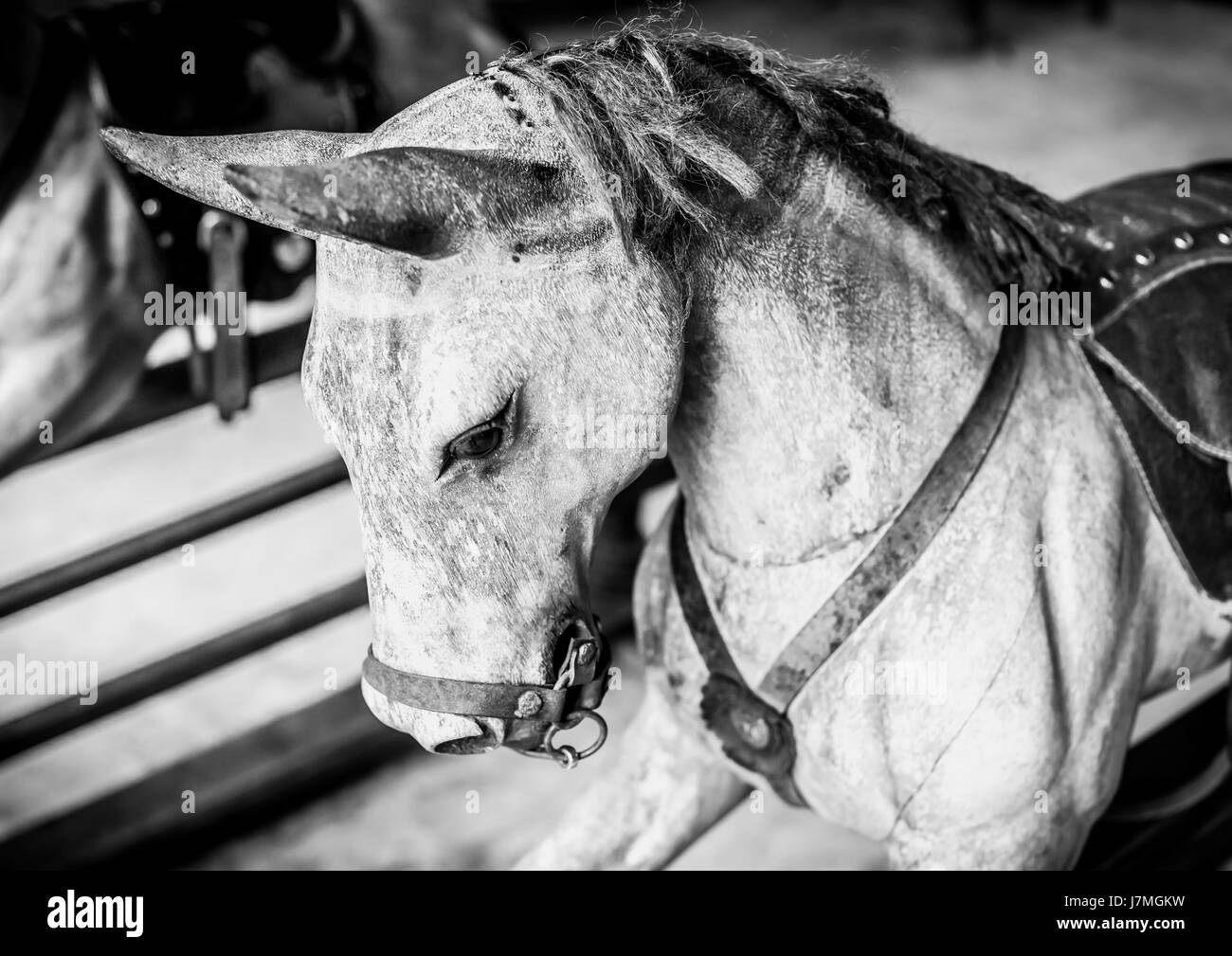 Rocking horse Black and White Stock Photos & Images Alamy