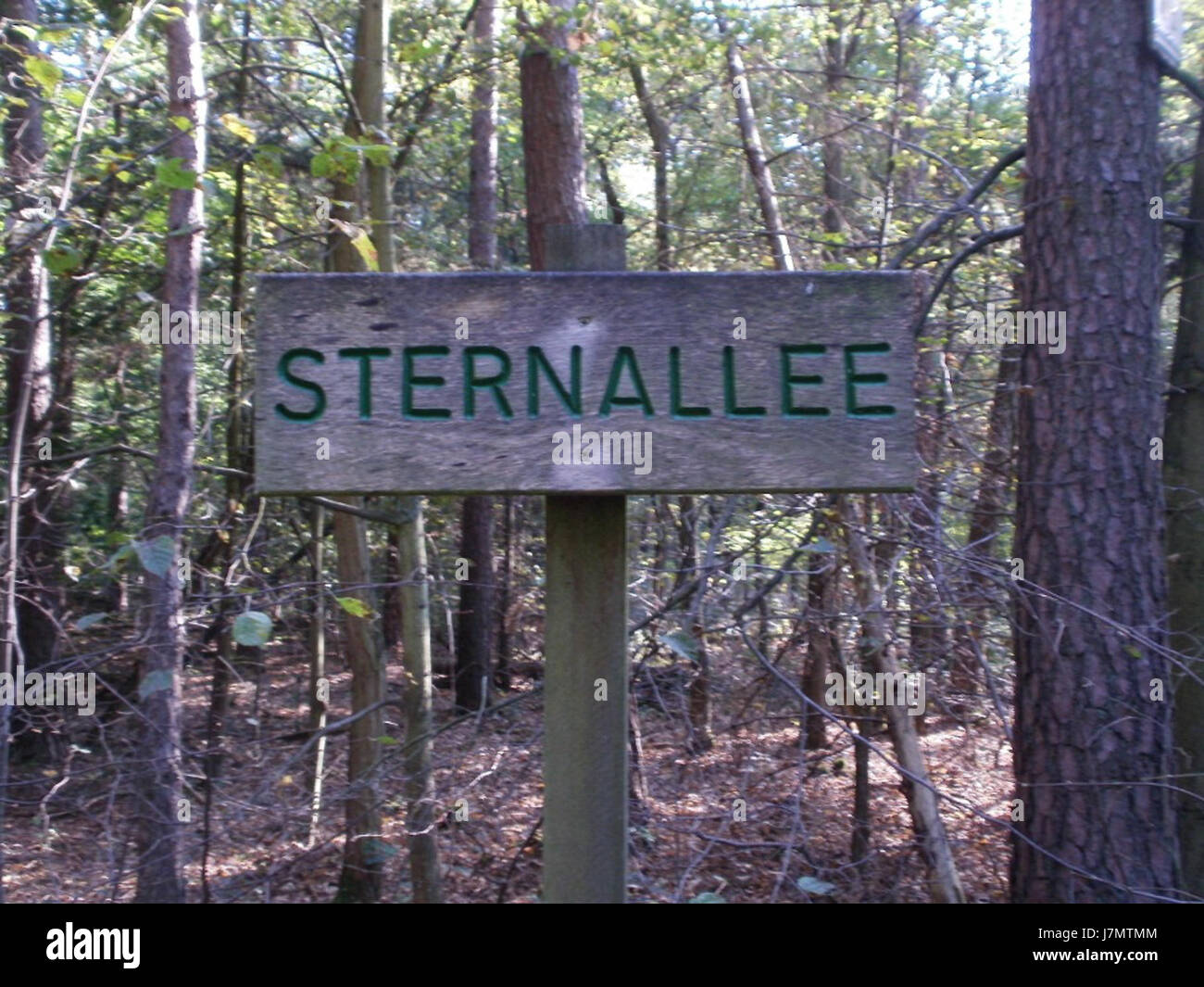 This title likely refers to a dated location or a specific event, possibly related to an image or record taken on September 26, 2011, at a place called Sternallee. Further context is required to clarify the subject. Stock Photo