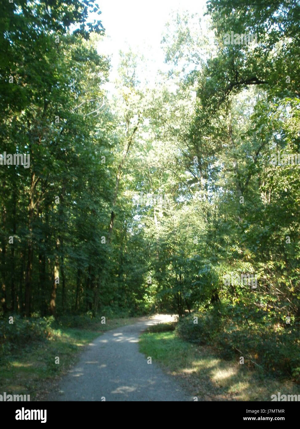 The image '20110926 Sternallee 04' likely represents a photograph or document related to a specific event or location captured on September 26, 2011, in Sternallee. Further context would provide more clarity on its significance. Stock Photo