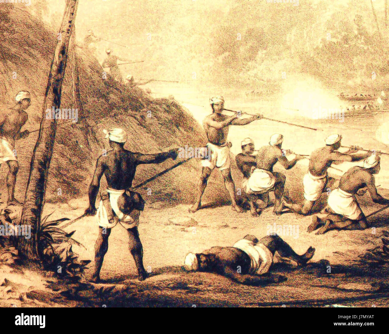 Poisonous hi-res stock photography and images - Page 2 - Alamy, image size:1300x1119