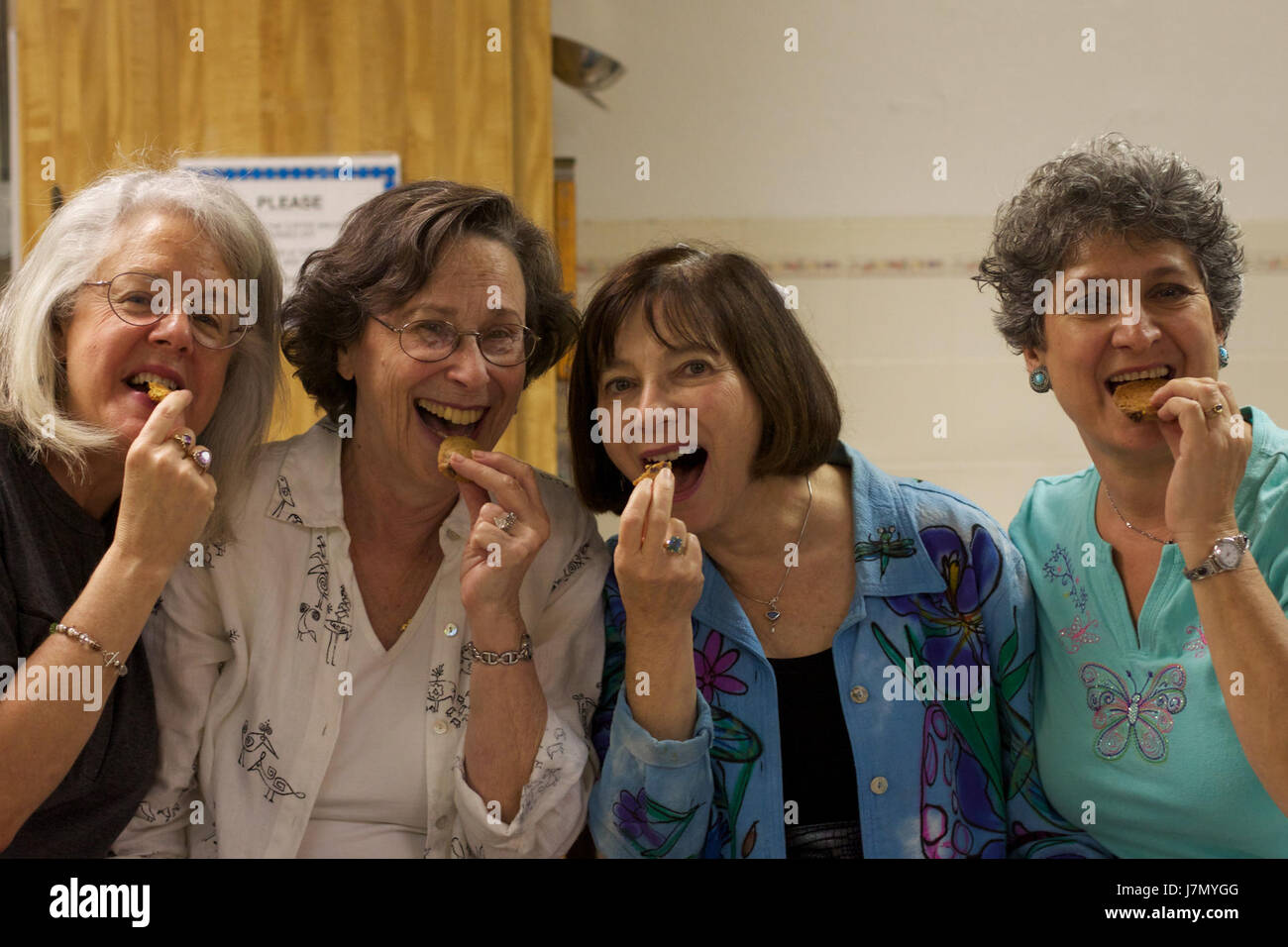 2011 365 310 Tribute to Alyce and Her Cookies (6320720613) Stock Photo