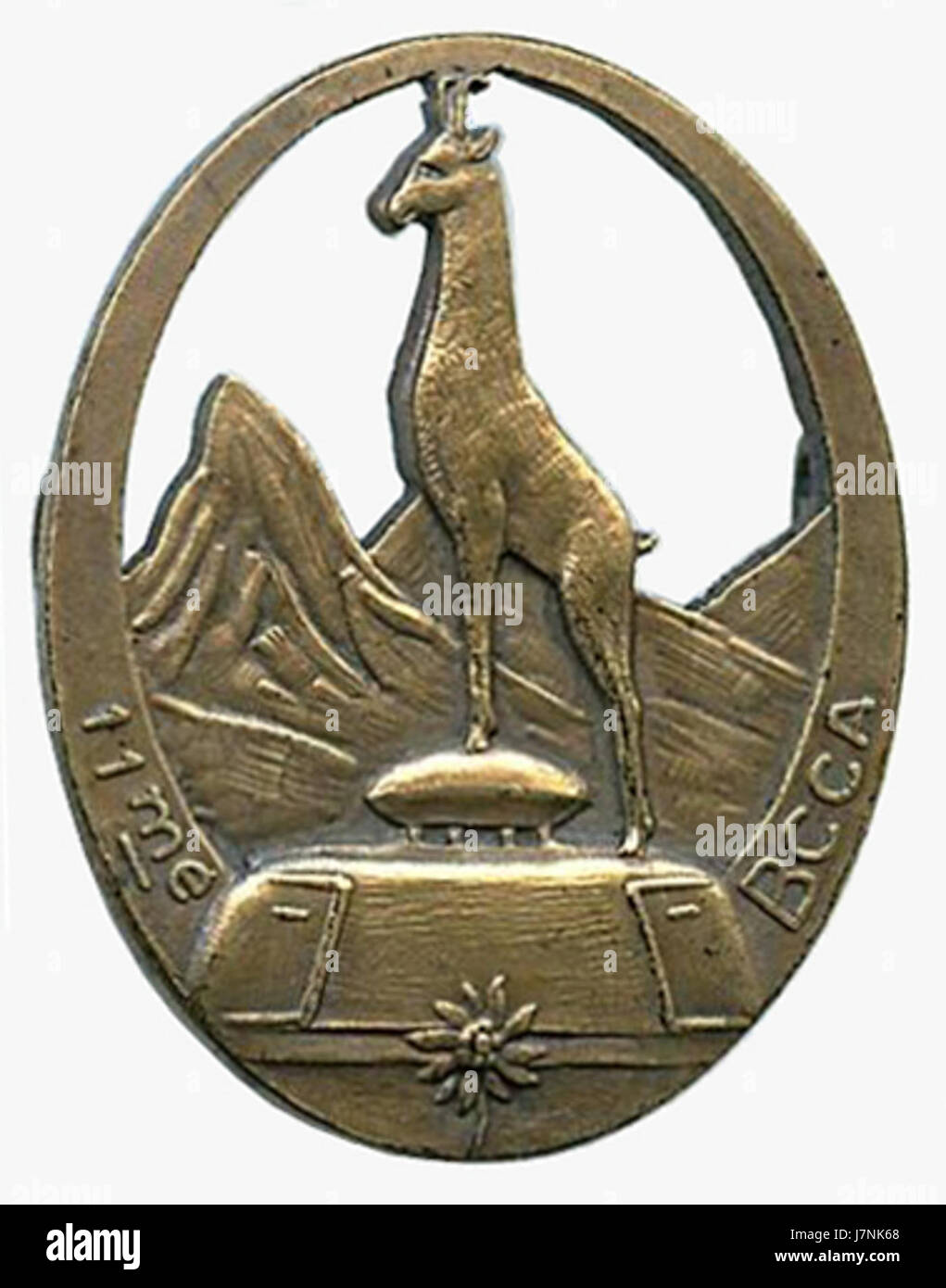 11e bataillon de chars de combat Stock Photo Alamy