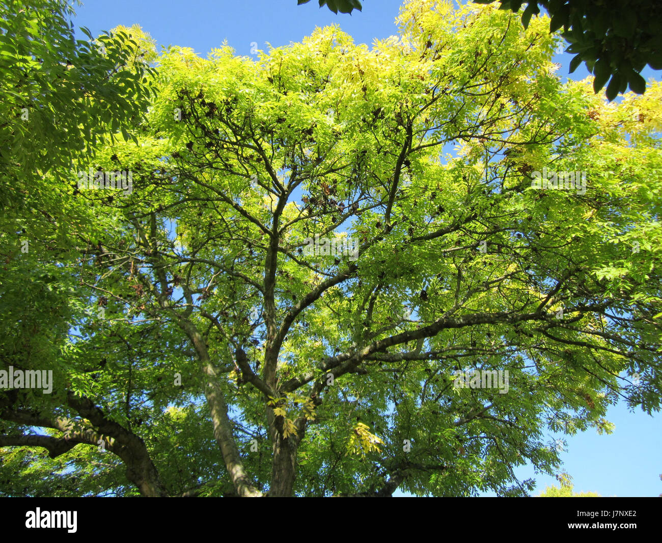 This title likely refers to a specific location or event in ...