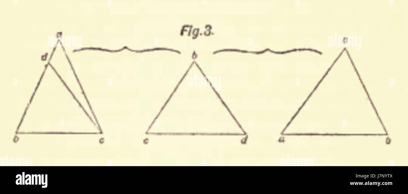 4Fold Root Figure 3 Stock Photo