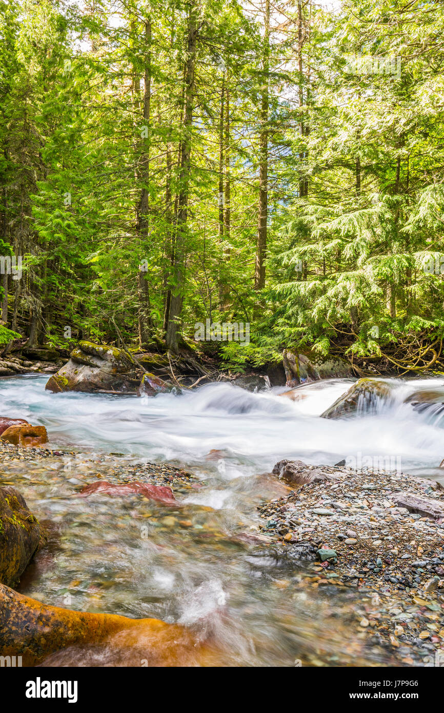 rushing water brook stream current gorge montana glacier garden wall ...