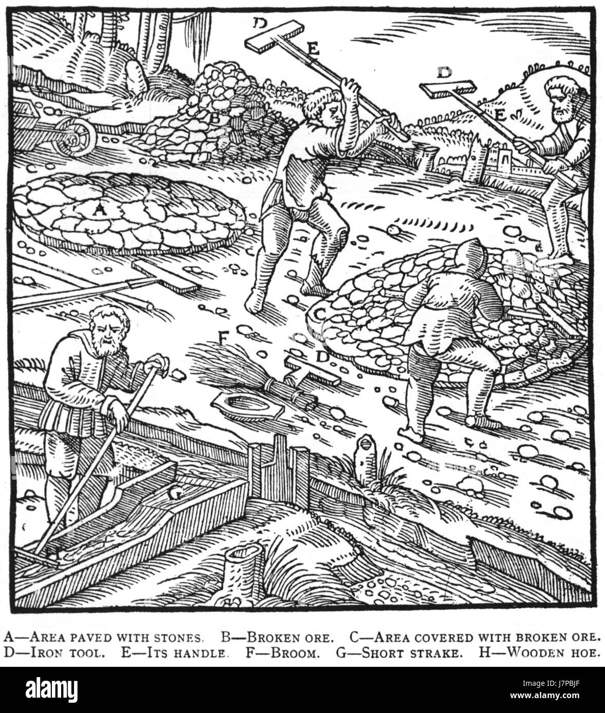 'Book8 52' refers to a specific book or manuscript, possibly containing ...