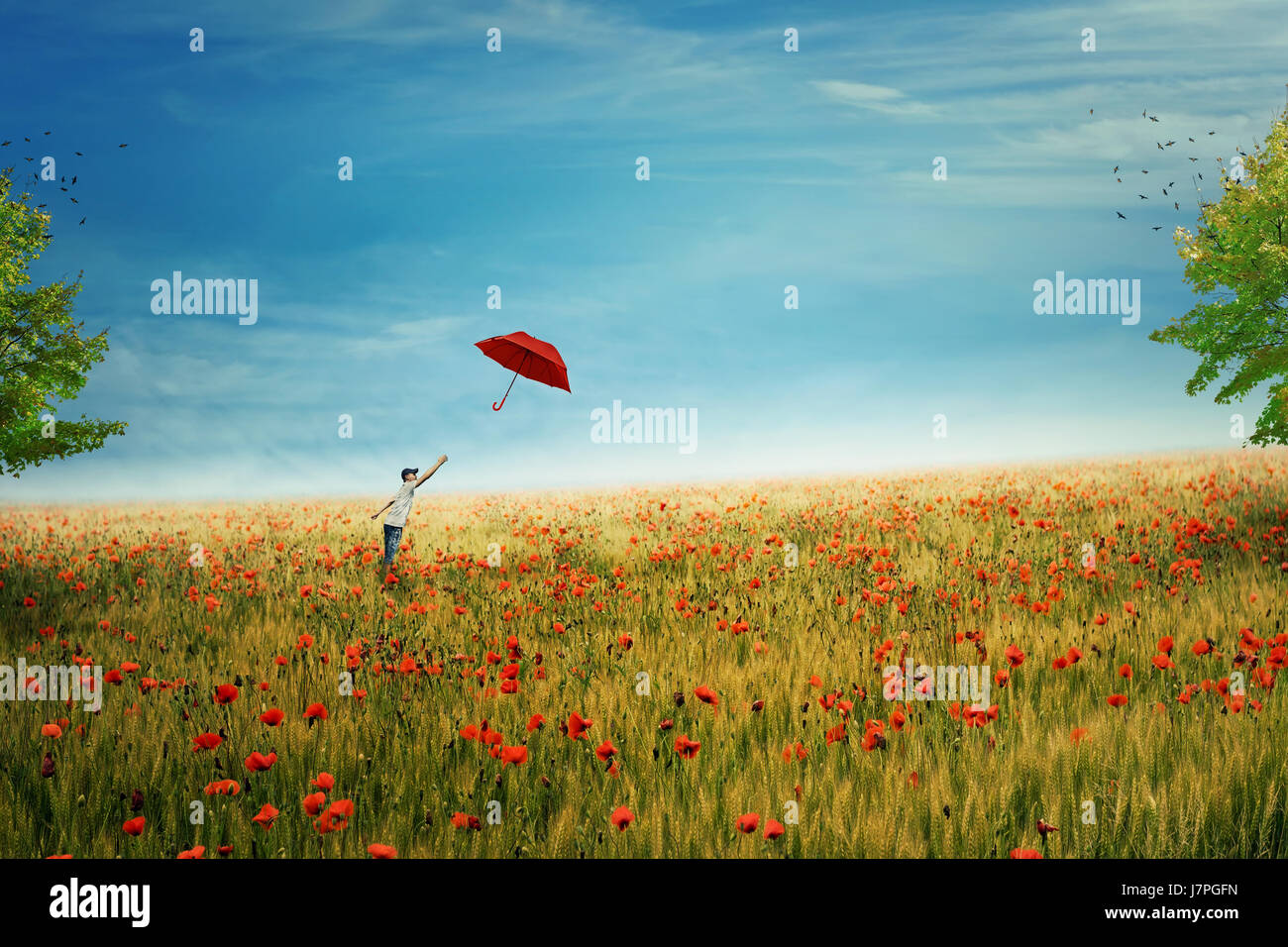 Young boy stand on a country meadow with million of red poppies, trying to catch his red umbrella that fly to the sky. The pursuit of happiness Stock Photo