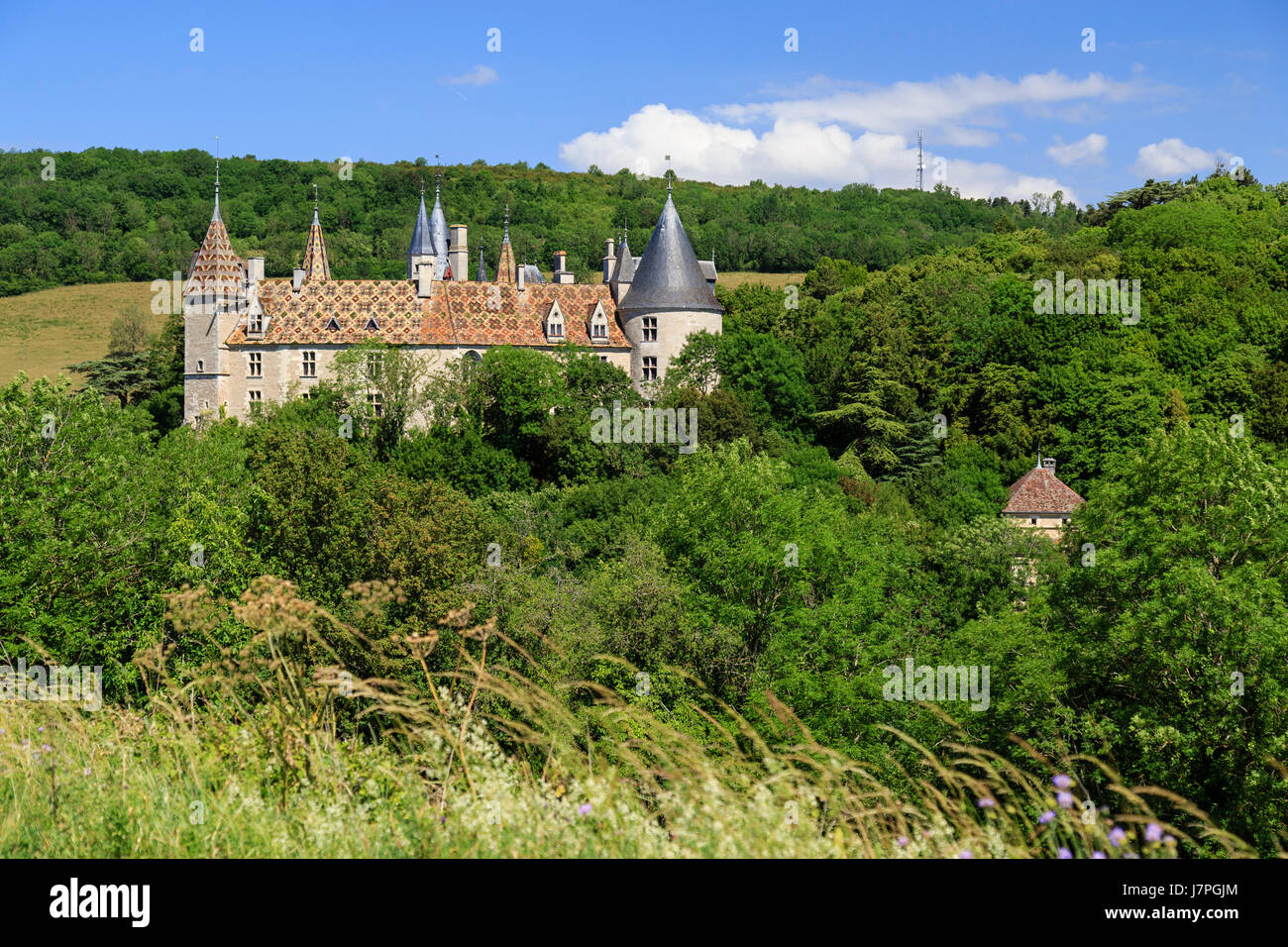 France, Cote d'Or, Burgundy region, La Rochepot, the castle of Rochepot Stock Photo