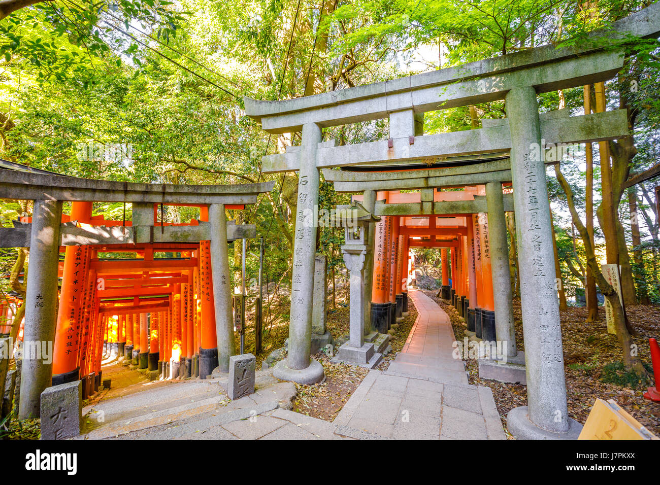 Double Corridor Fushimi Inari Stock Photo