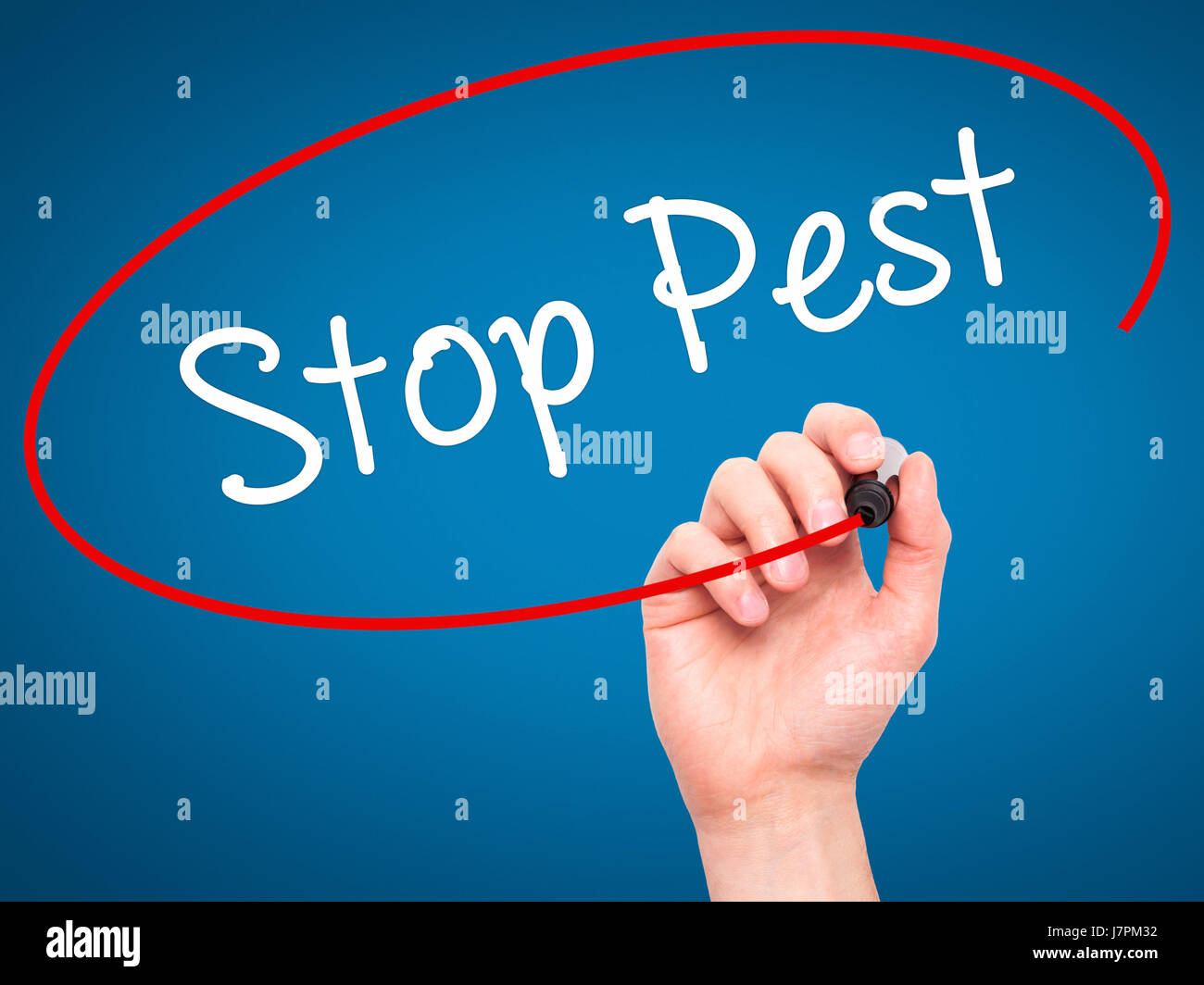 Man Hand writing Stop Pest with black marker on visual screen. Isolated on background. Business, technology, internet concept. Stock Photo Stock Photo