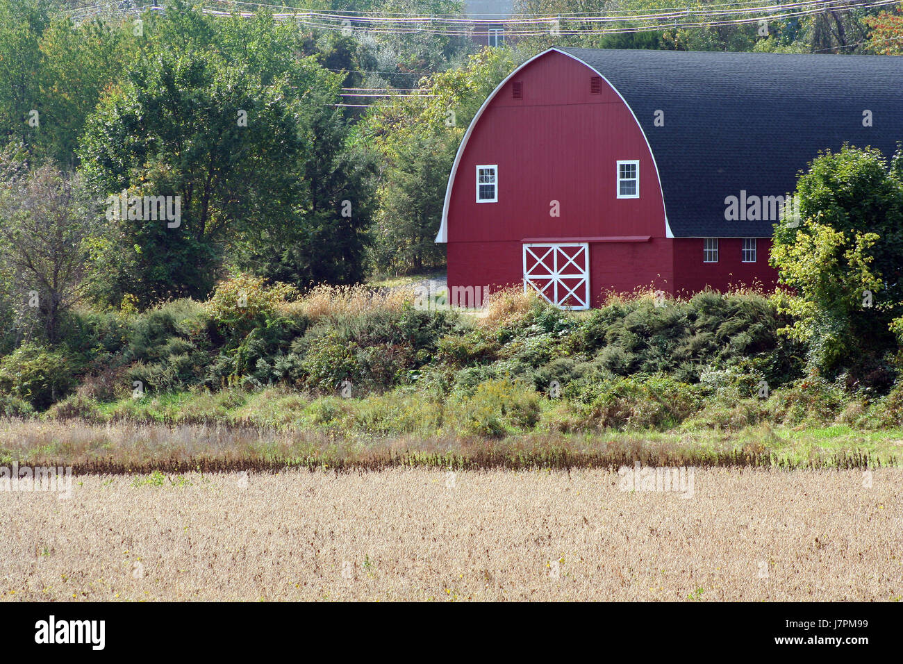 agriculture farming field barn farm landscape scenery countryside