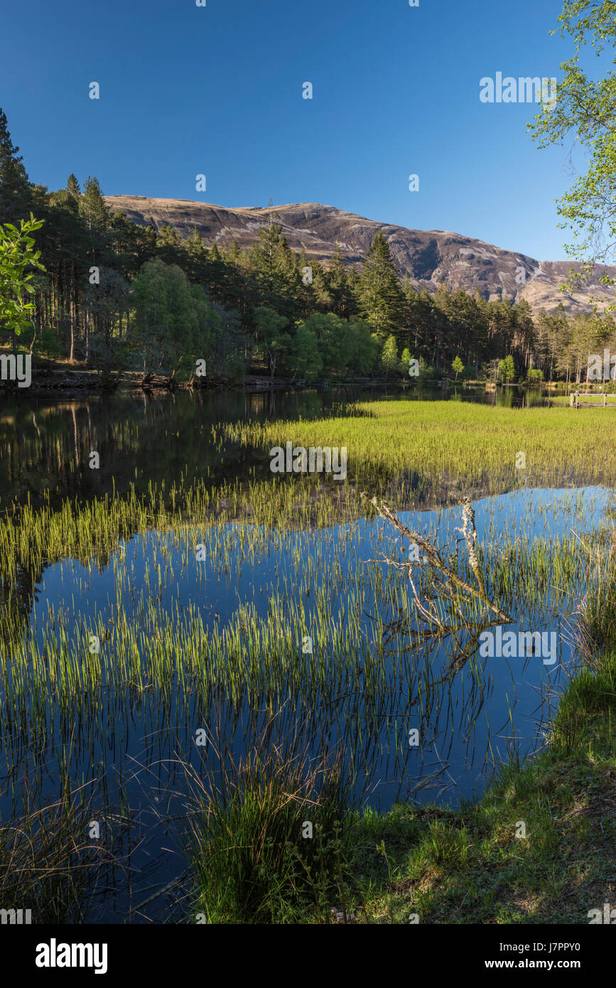An image of the Glencoe Village Lochan on a beautiful Spring evening with the mountains of Glencoe in the background. Stock Photo