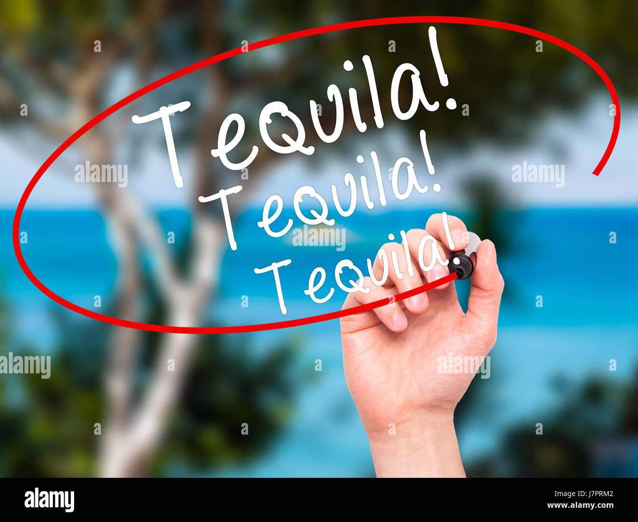 Man Hand writing Tequila with black marker on visual screen. Isolated on nature. Business, technology, internet concept. Stock Photo Stock Photo